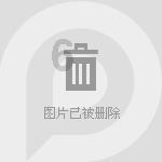 可爱的小考拉