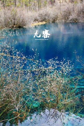 印度以病人输血后死亡，发现医生输的竟是果汁，医生该承担什么责任？游戏画面